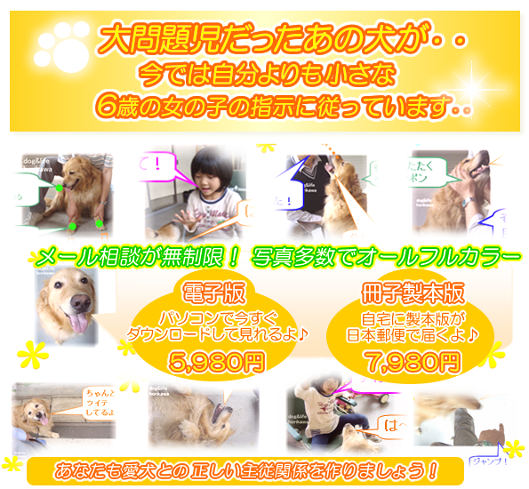 電子版5980円、製本版7980円